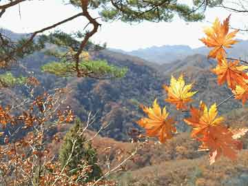 乌兰察布打胎药几个月吃才好（打胎药要吃什么药比较好）